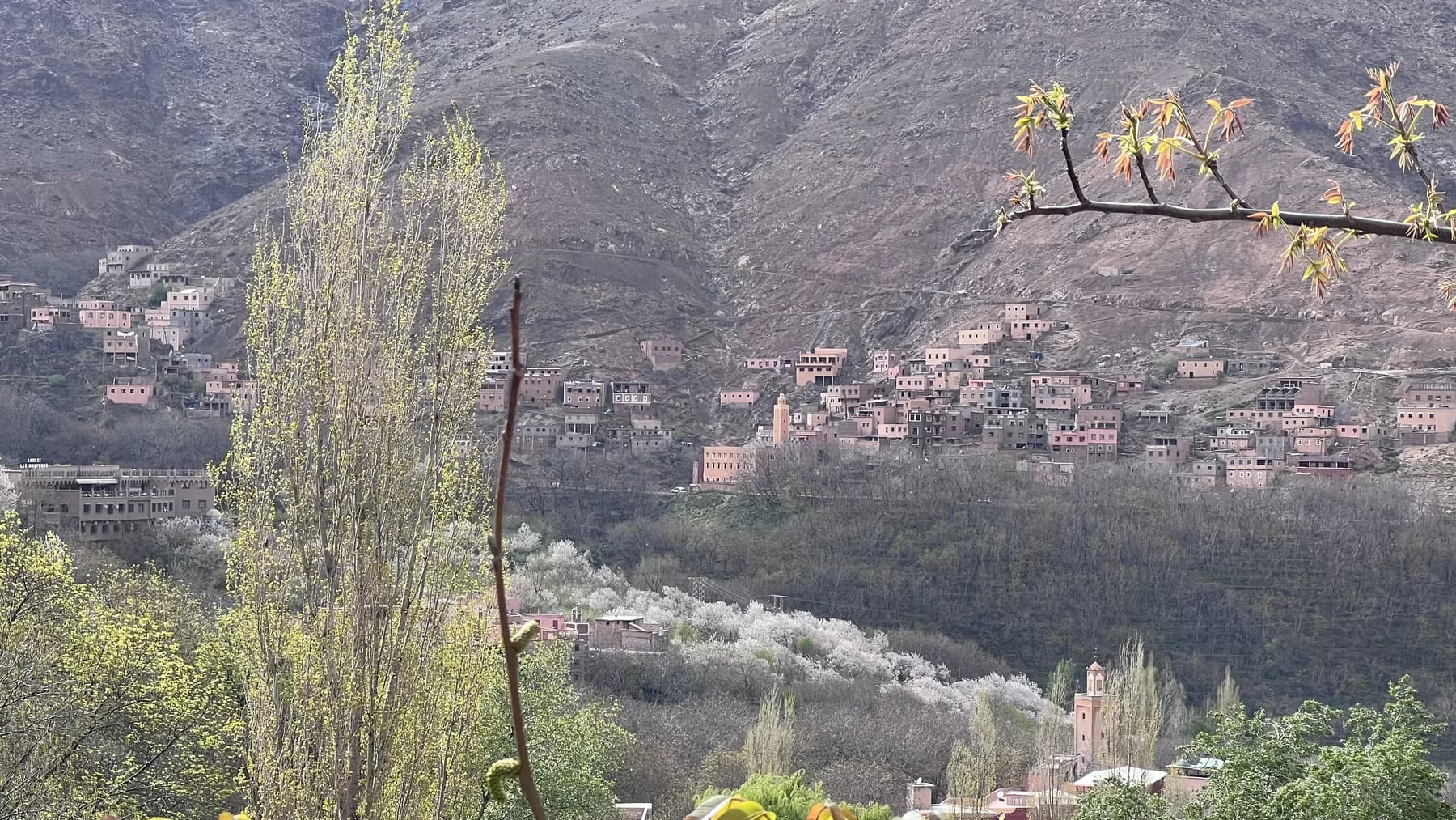 Hillside village and trees in an Atlas mountain valley