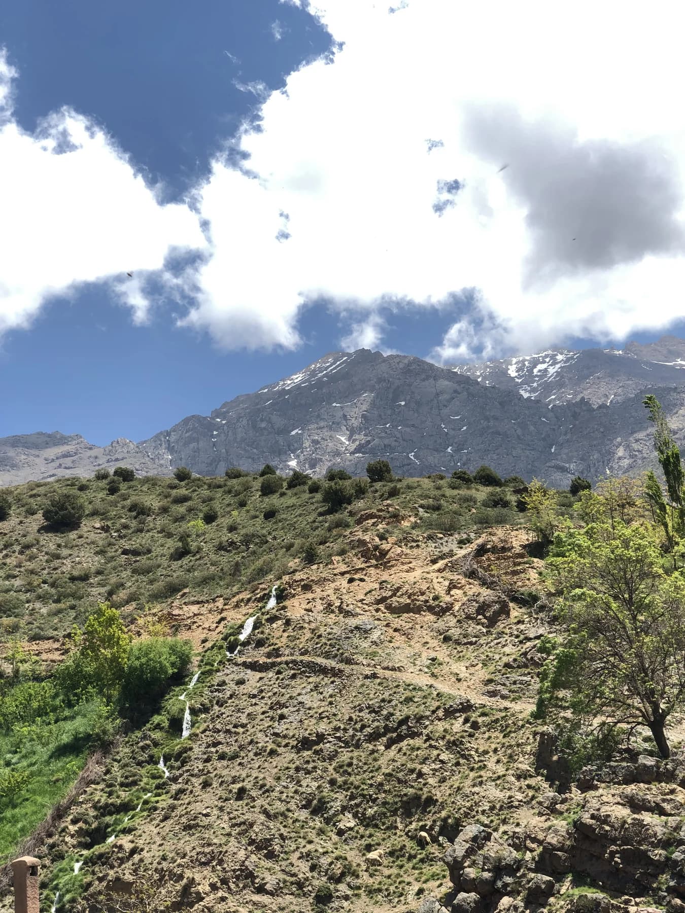 Mountain stream in a green Atlas valley