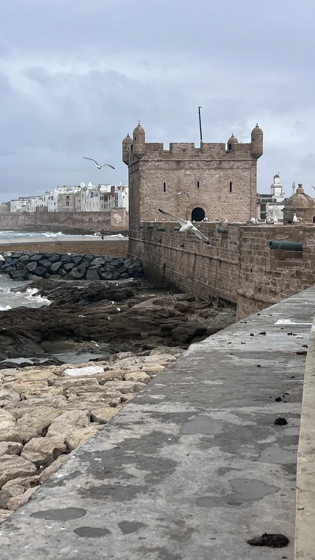 Essaouira ramparts beside the Atlantic coast